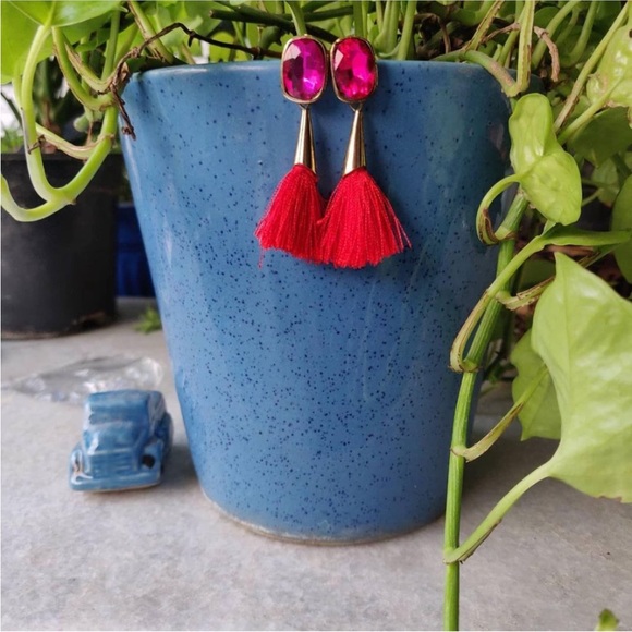 Rani Earrings with Tassles - Picture 2 of 2